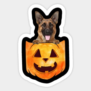 German Shepherd Dog In Pumpkin Pocket Halloween Sticker